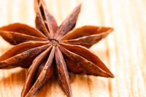 #htmlcaption_659 Spicy Time with Star Anise