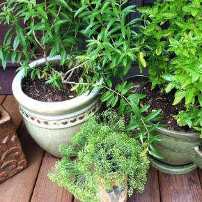 photo (29)